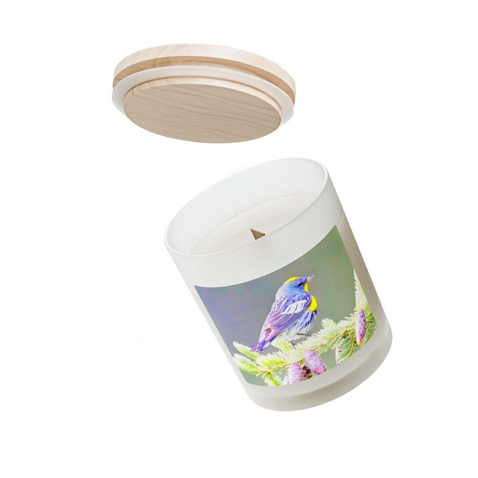 Thumbnail: Warbler's Catch Soy Candle