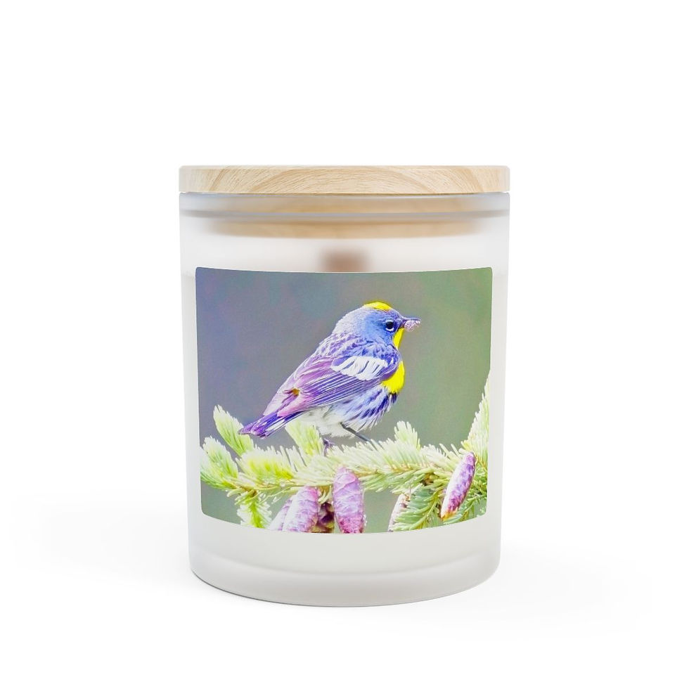 Thumbnail: Warbler's Catch Soy Candle