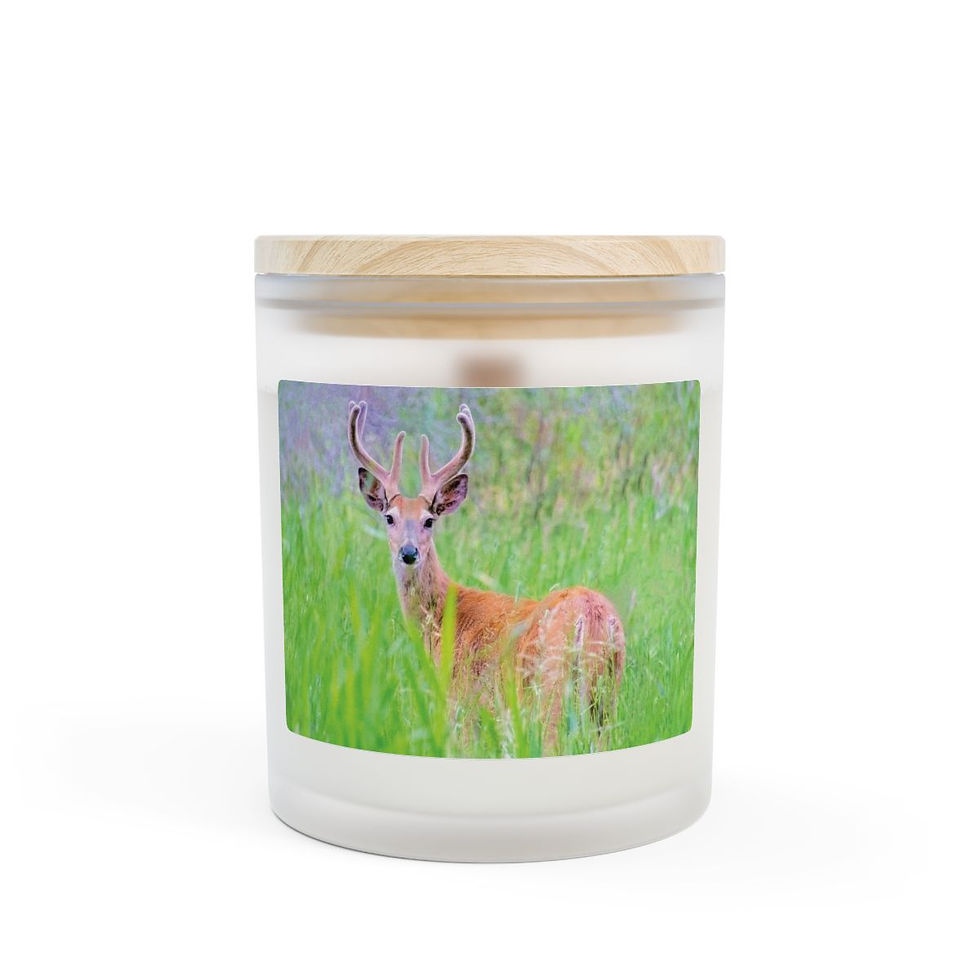 Thumbnail: In Velvet Soy Candle