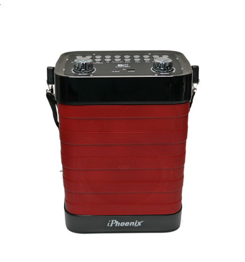 iPhoenix IP-16 Portable Bluetooth PA Speaker System