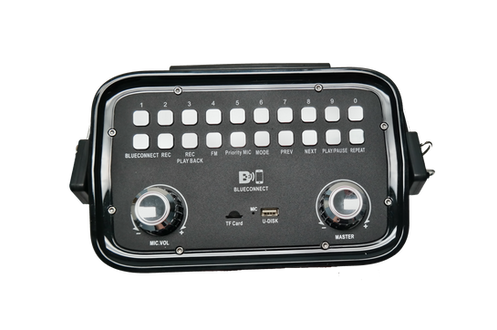 iPhoenix IP-16 Portable Bluetooth PA Speaker System