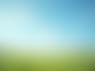 Navigating Environmental Regulations: Your Legal Guide