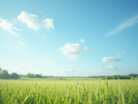 Navigating Environmental Regulations: Your Legal Guide