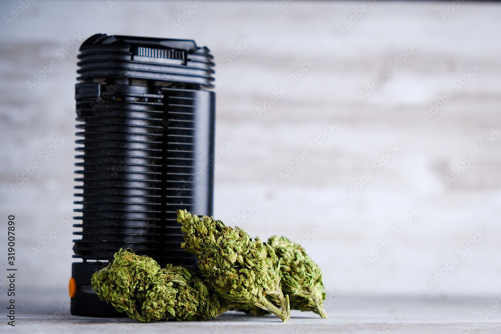 Dry Herb Vaporizers