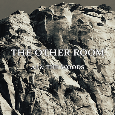 Single Cover 5 - The Other Room.png