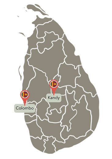 cricket tour Sri lanka