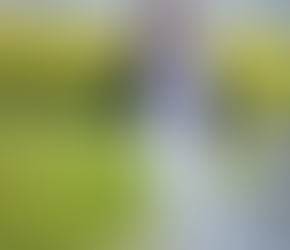 ¿QUÉ OPINA USTED DE LA LABOR QUE CUMPLEN LOS CONGRESISTAS DE LA REPÚBLICA?