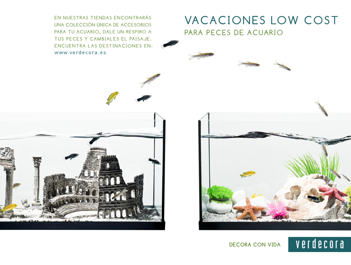 gráfica: verdecora