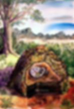 Watermark Moorrenaturierung Ringelnatter