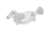 Platypus