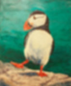 Puffindance