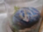 Dormouse
