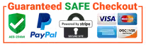 secure-checkout-gothrider_large.avif