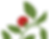 PLUCKD_TOMATO_PLANT.png