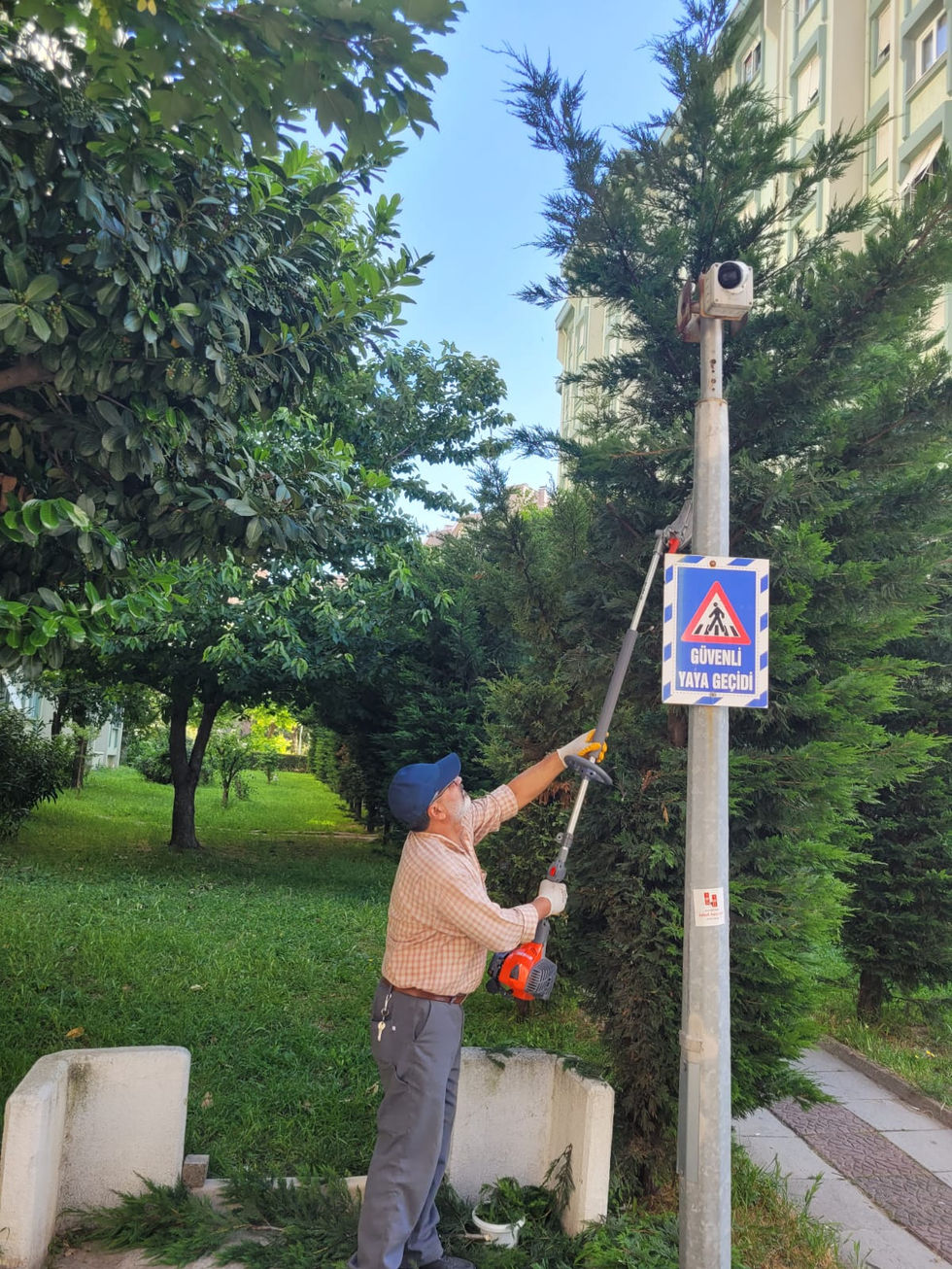 Muhtelif budamalar - 31.05.2024