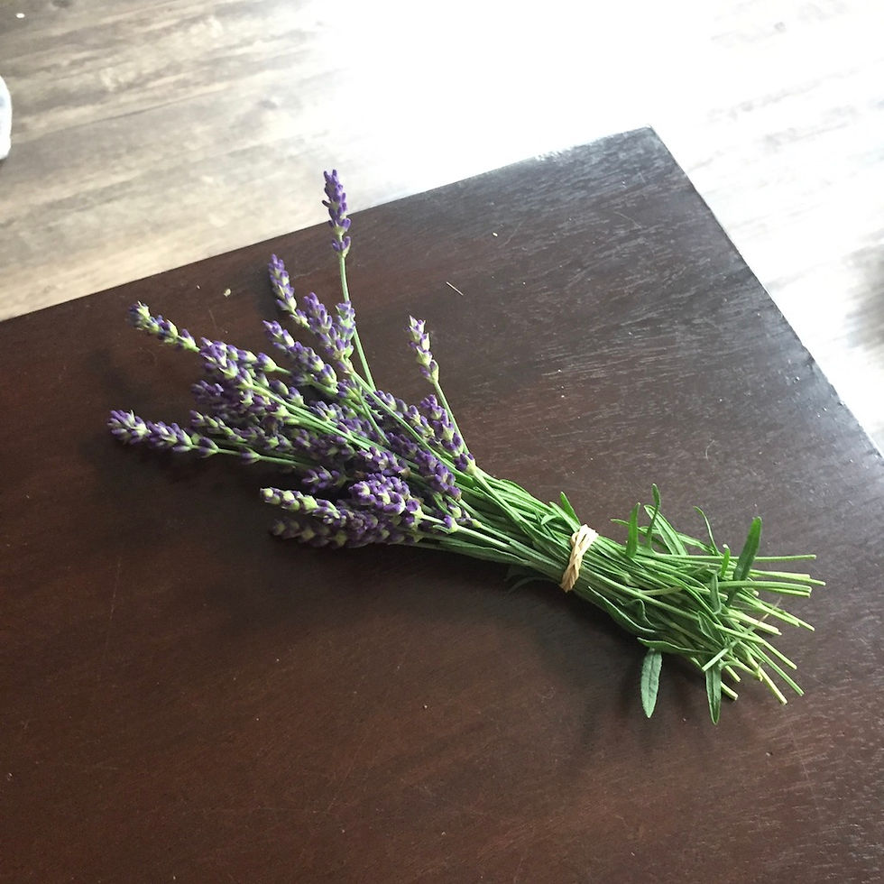 Failure Friday: Lavender Edition