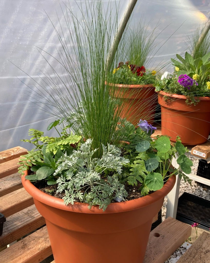 UNADJUSTEDNONRAW_thumb_5e72