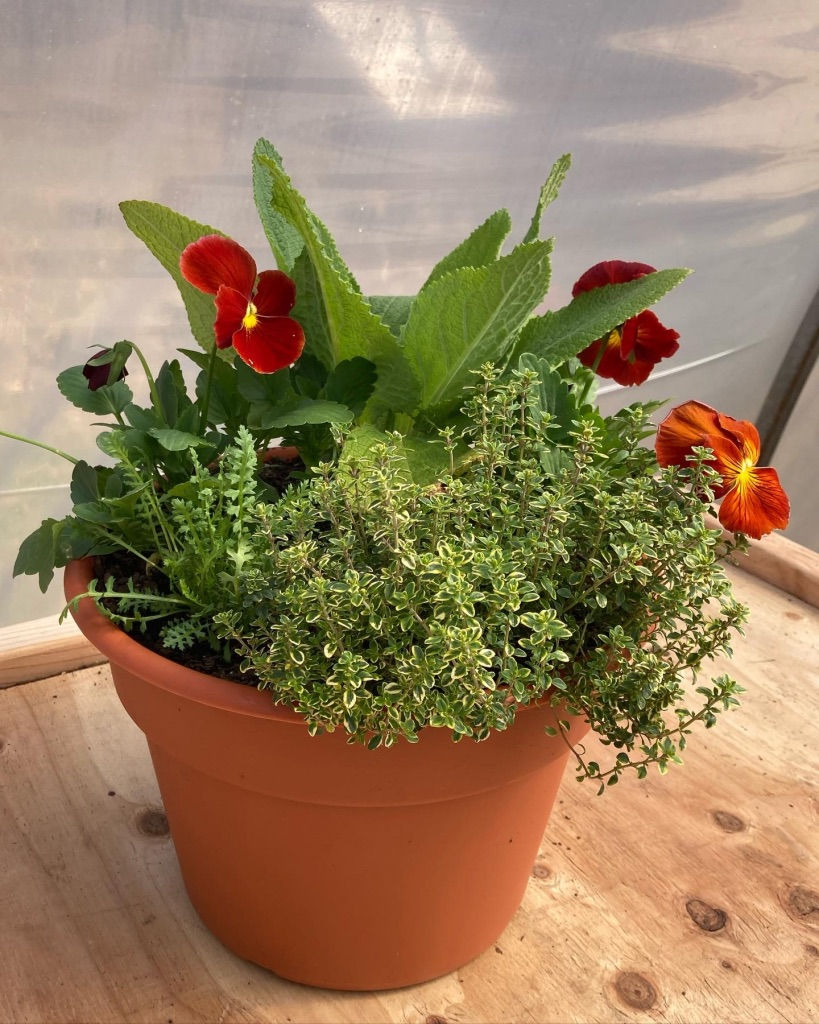 UNADJUSTEDNONRAW_thumb_5e5f