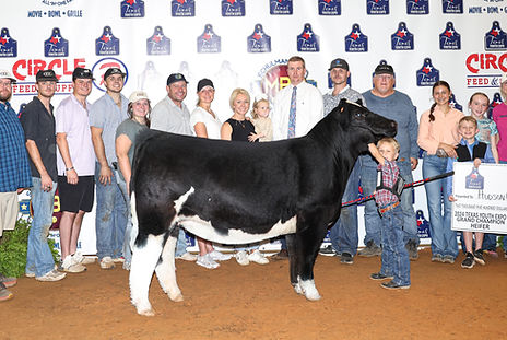 2024 Heifer_CH_Hudson Cromwell_edited.jp