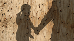 The Child Who Hammered Nails