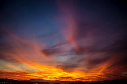 11011739_10153188869402515_7051801891479449911_o