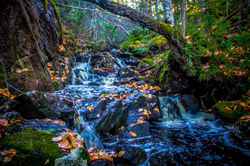 12185079_1016298898433287_5152719734301935924_o