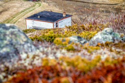 12006603_1014654285264415_7336373512307237807_o