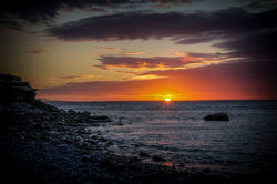 10511586_10152315619587515_3052819648916582001_o