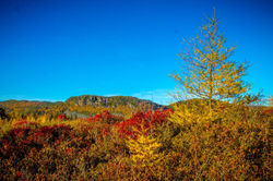 12182855_1016298901766620_1708566044301889119_o