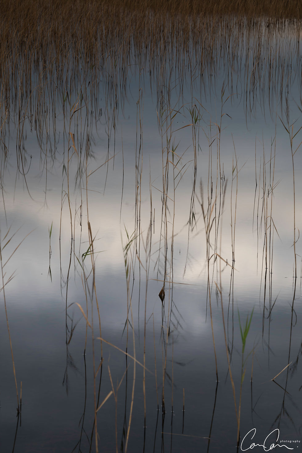 Tranquil