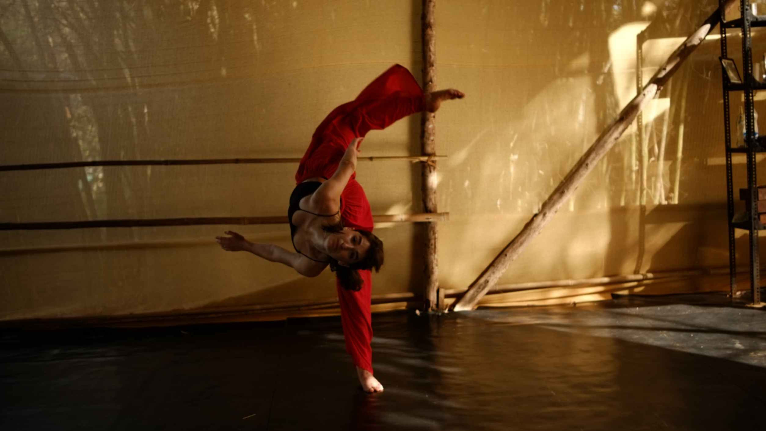 lila-dubois-pagesse-artiste-en-danse-Quebec-France-cours-particulier