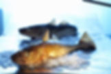 Miniaturbild: SKREI LOIN FRISCH - Filetti di Merluzzo nordico