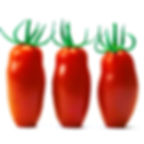 SAN MARZANO TOMATEN Kiste 7 kg - Pomodori San Marzano