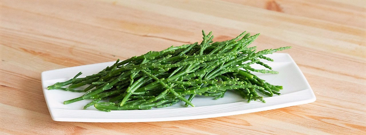 SALICORNE ALGHEN frisch - Asparago di mare