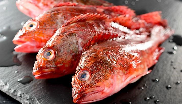 Miniaturbild: ROTBARSCHFILET (FRISCH) - Filetto di Scorfano di fondale