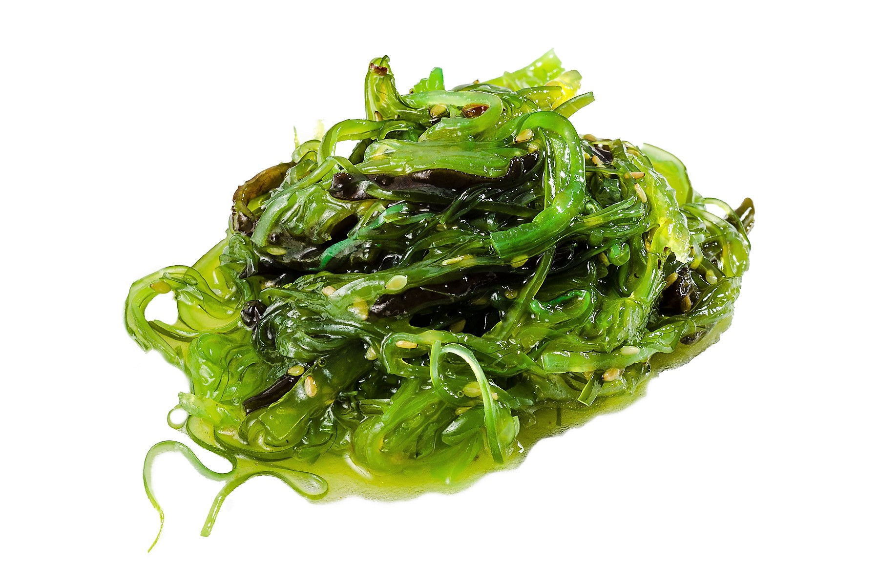 WAKAME SEEALGENSALAT - Alghe Wakame
