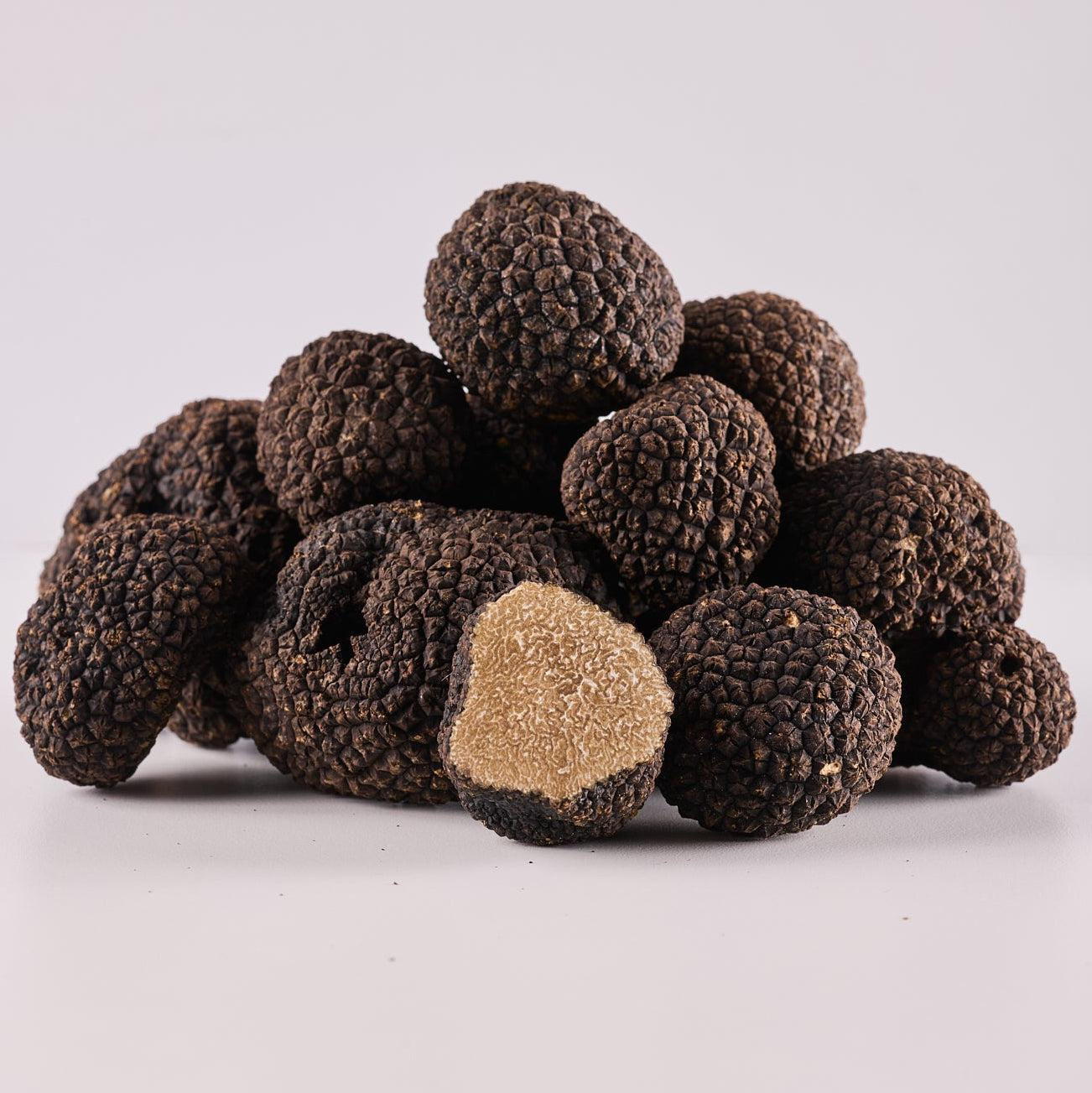 TRÜFFEL (Herbst)/Burgunder-Trüffel - Tartufo Uncinato