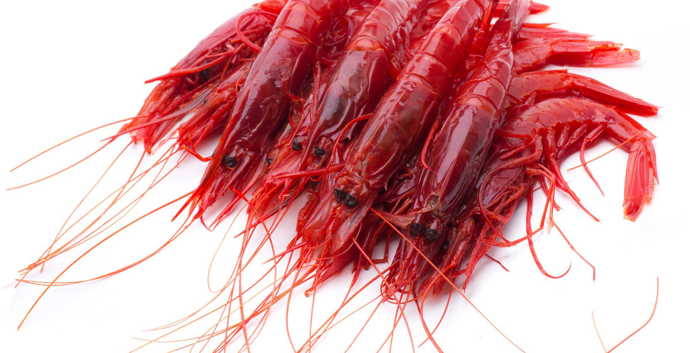 Gambero rosso Mazara.jpeg