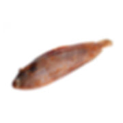 SEEZUNGE Bretonisch - Sogliola Bretagna