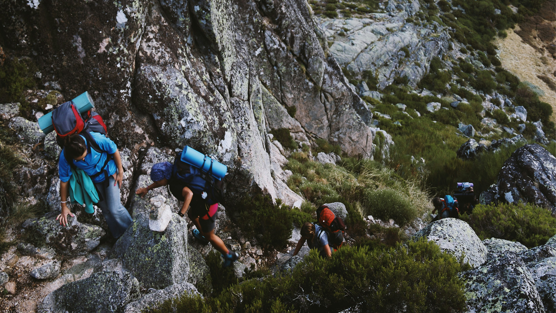 Trail balance and movement research reference