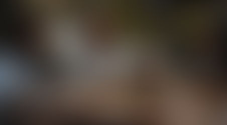 Weekly Blog Article: Leadership & Safety - Two Sides of the Same Coin