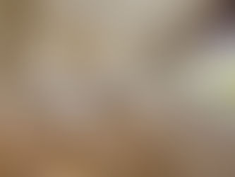 Guía práctica: todo lo que debes saber antes de reformar la cocina