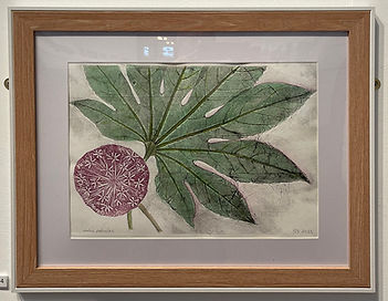 Geoff Saunders 'Hortus Patricius'.jpg