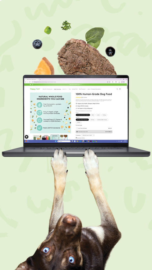 Happy Howl | Vividly Creative Co. Marketing Assets