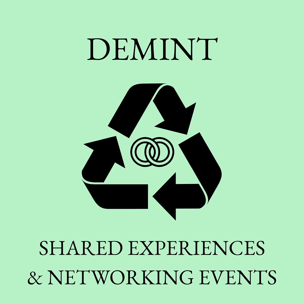 DEMINT SERVICES NETWORKING.png