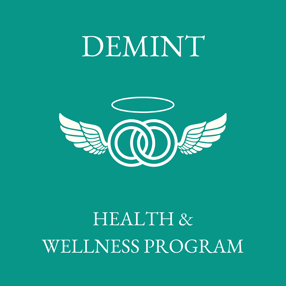DEMINT HEALTH & WELLNESS PROGRAM.png