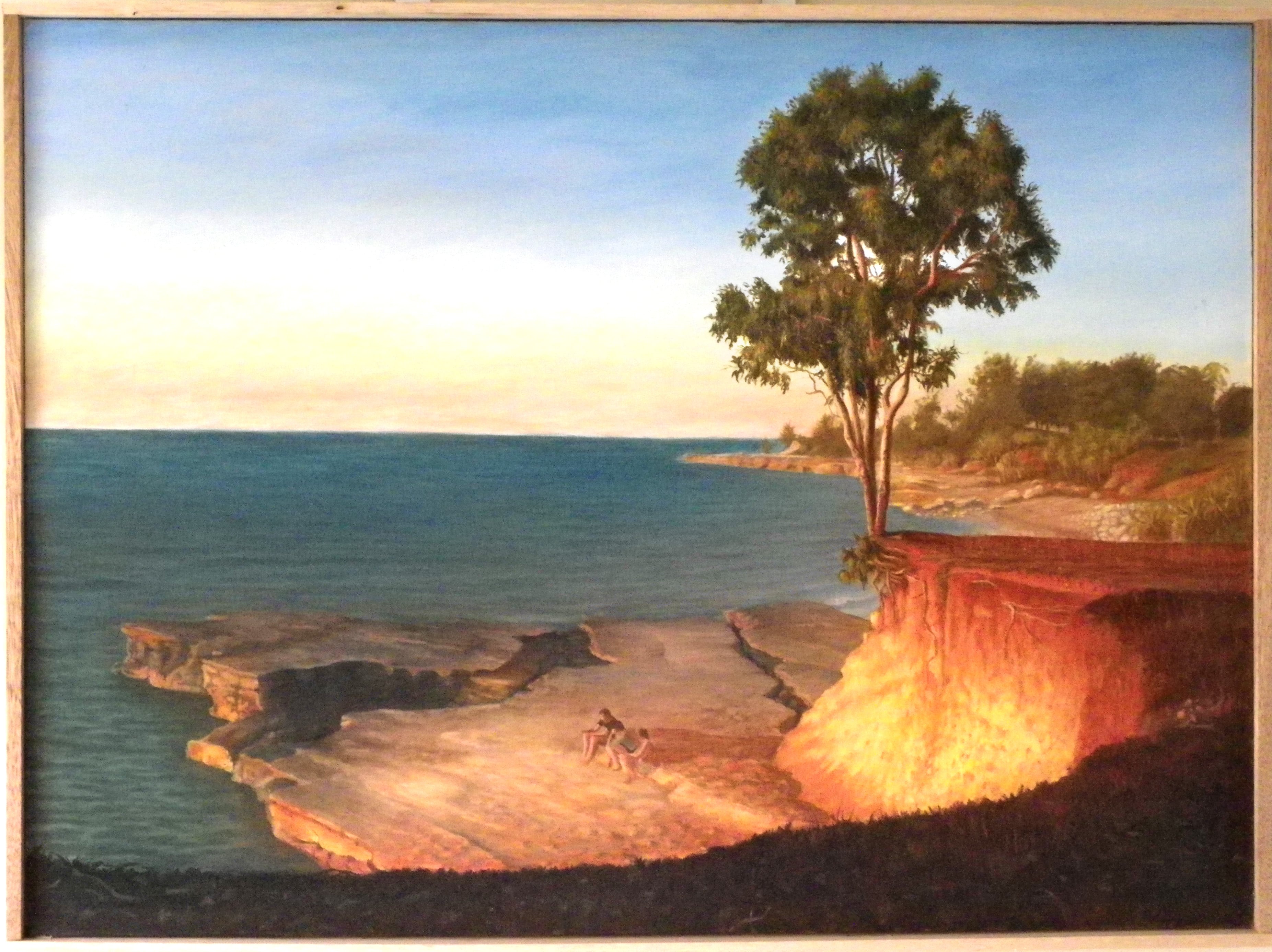 Nightcliff Hanging Tree