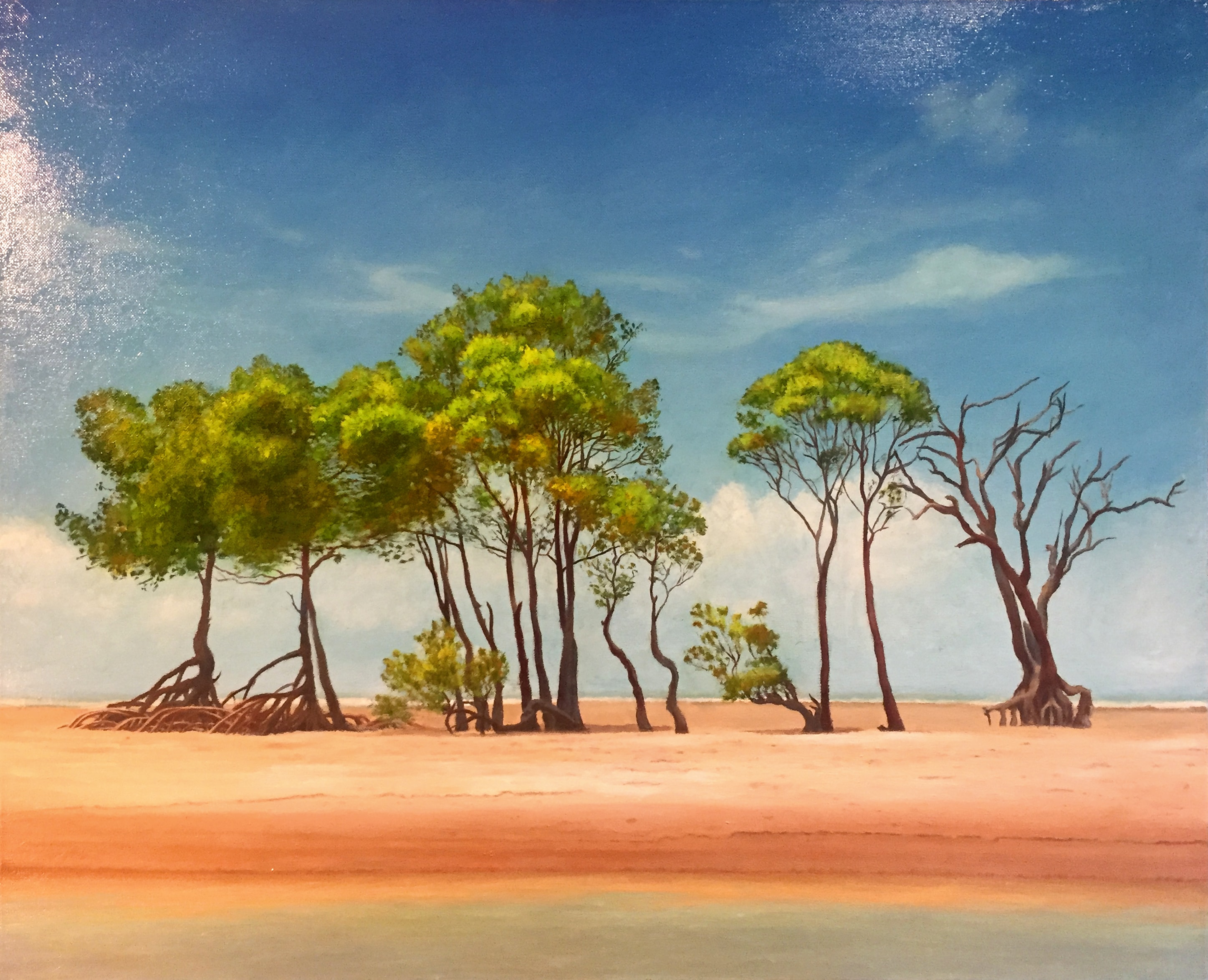 Lee Point mangroves (SOLD)