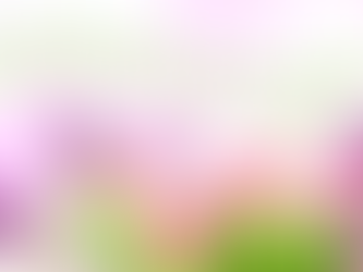 Sunday 15th March - Notice Sheet