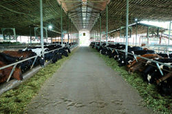 WhatsApp Image 2025-03-22 at 12.32.28 PM (2)